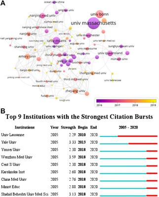 Bibliometric Analysis of the Inflammasome and Pyroptosis in Brain